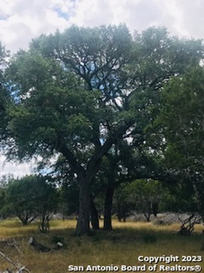 26 Mustang Crossing Dr, Home with 0 bedrooms, 0 bathrooms and null parking in Pipe Creek TX | Image 19