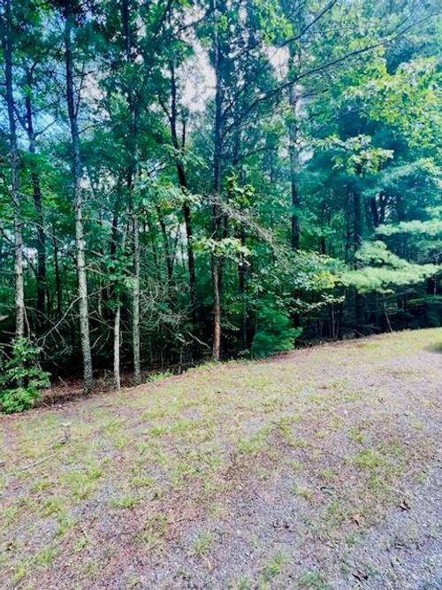 Lot 42 Squirrel Hunting Rd, Ellijay, GA, 30536 | Card Image