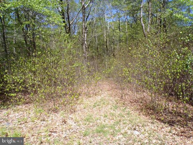 132 Beechnut Ln, House other with 3 bedrooms, 2 bathrooms and null parking in Canadensis PA | Image 11