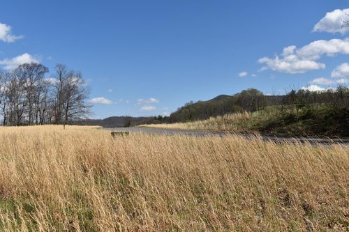 #49 River Walk Ln, Sparta, NC, 28675-9492 | Card Image