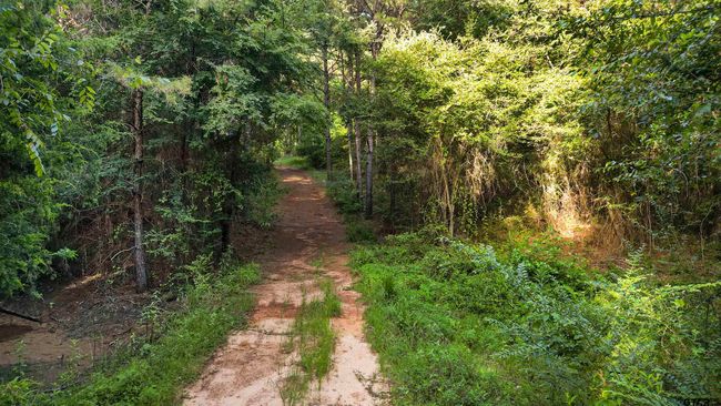 TBD 17.57 ACRES Fm 2274, Home with 1 bedrooms, 1 bathrooms and null parking in Troup TX | Image 19