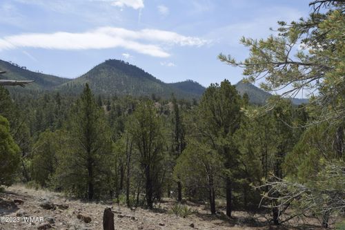 TBD County Road 2276, Nutrioso, AZ, 85932 | Card Image