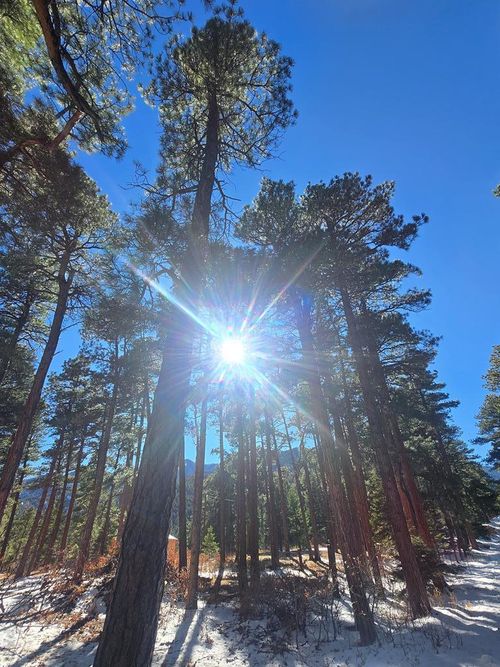 TBD Zorn Rd, Rye, CO, 81069 | Card Image