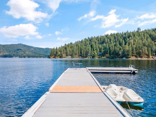 3923 E Pine Bay Way, Loon Lake, WA, 99148-6001 | Card Image