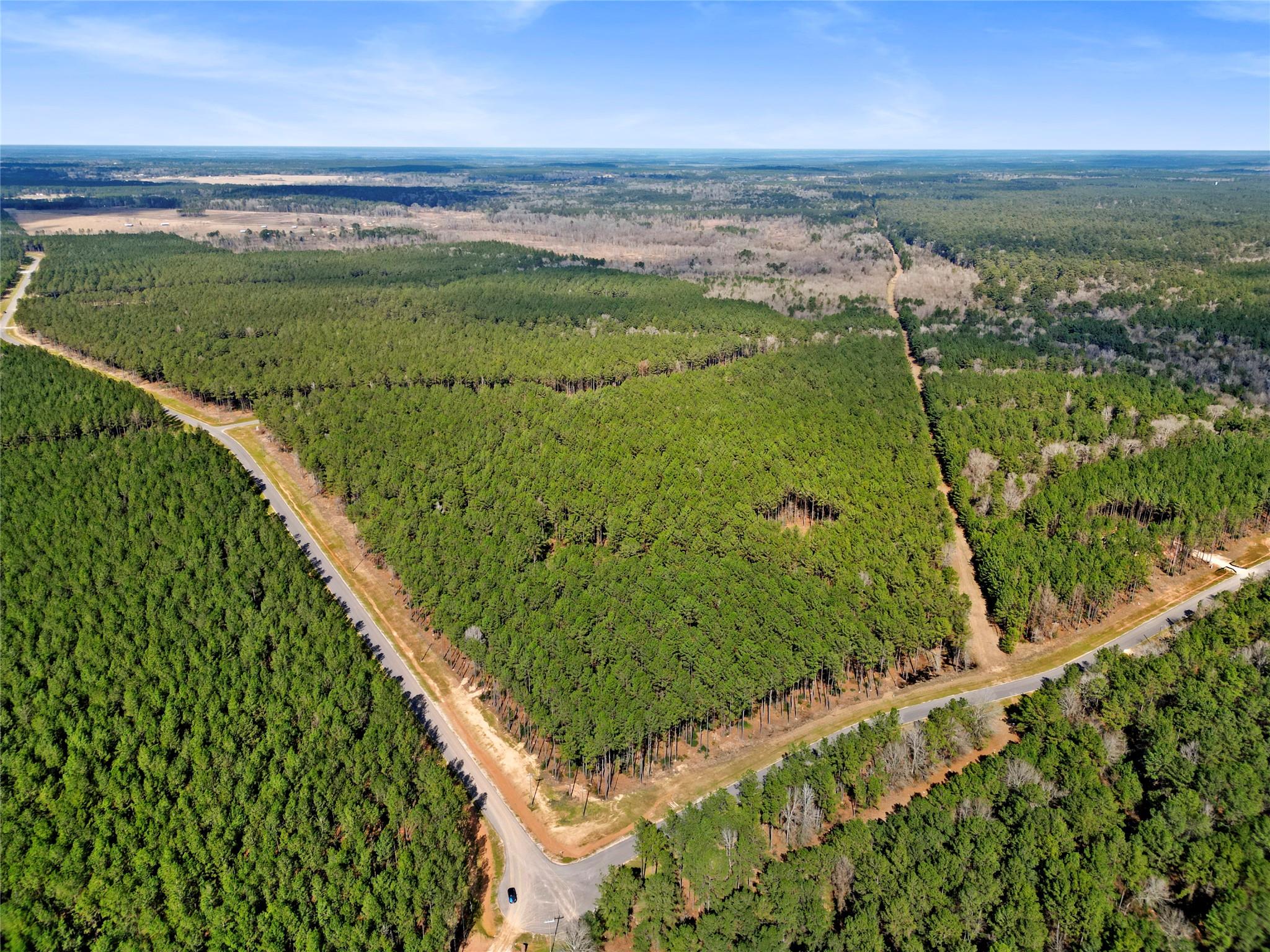 Land in Huntsville 5