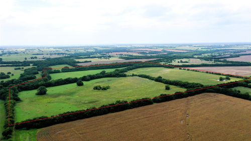 TBD County Road 1055, Celeste, TX, 75423 | Card Image