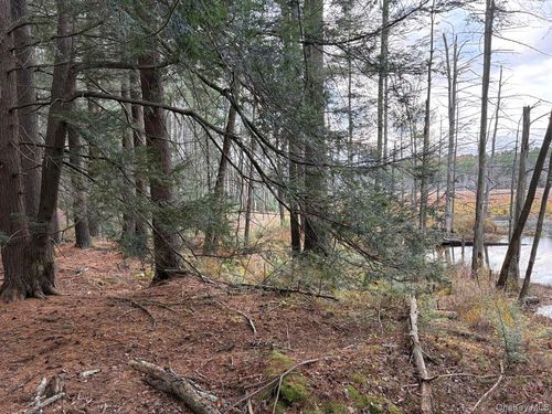 0 Pucky Huddle Rd, Bethel, NY, 12720 | Card Image