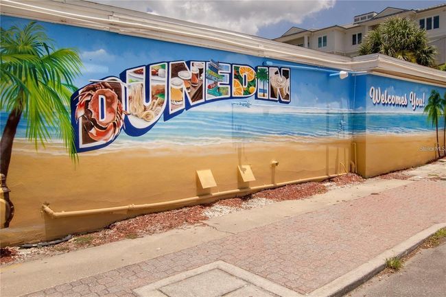 APT-103 - 845 Maple Ct, Condo with 2 bedrooms, 1 bathrooms and null parking in DUNEDIN FL | Image 39
