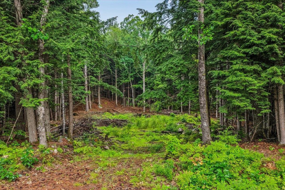 Land in Webster 2