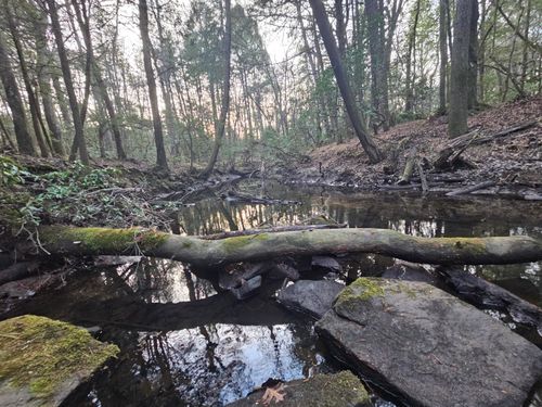 100 Clendenon Road, Spencer, TN, 38585 | Card Image