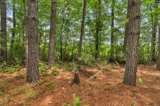 0000 N Brewington Rd, Home with 0 bedrooms, 0 bathrooms and null parking in Manning SC | Image 56