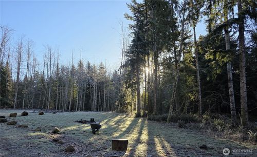 3162 Duckabush Rd, Brinnon, WA, 98320-9503 | Card Image