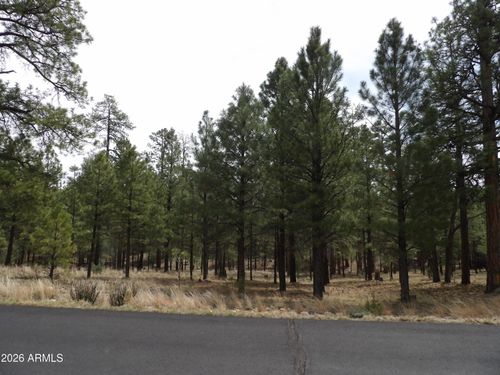 173-2011 Pine Canyon Drive, Happy Jack, AZ, 86024 | Card Image