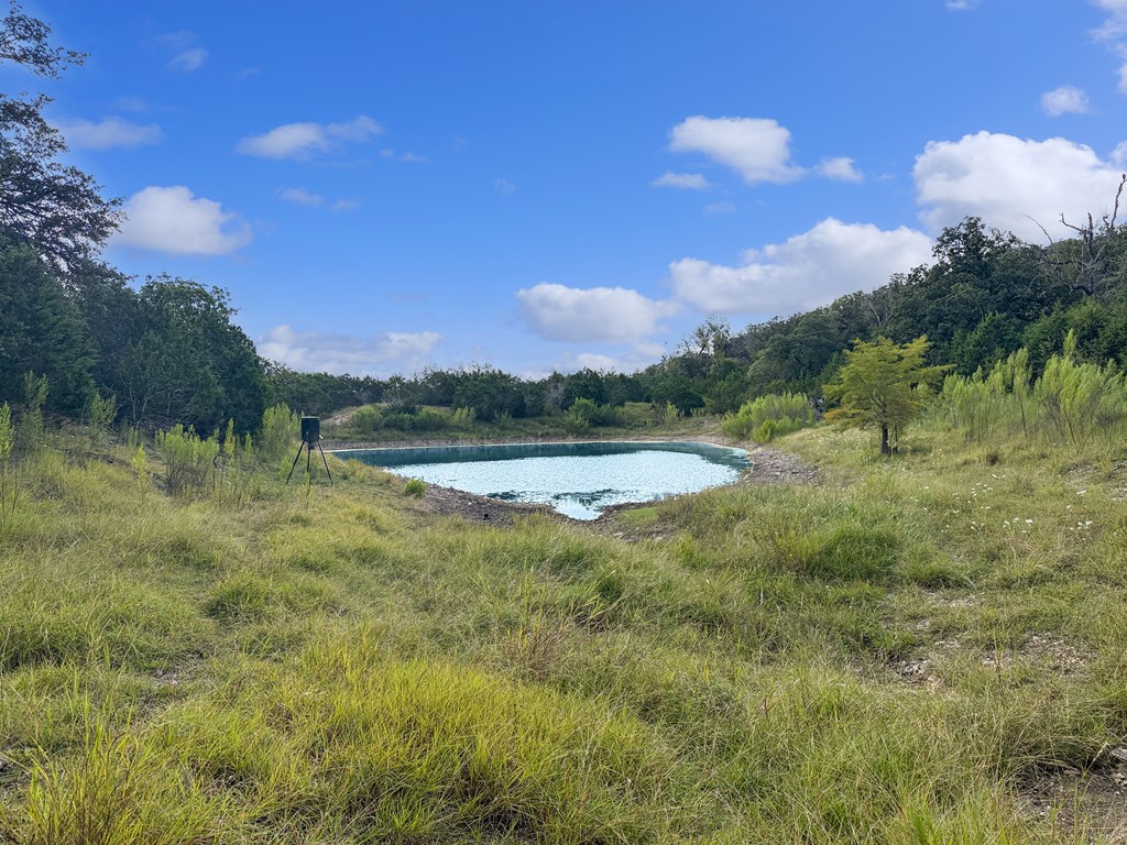 Farm in Kerrville 3