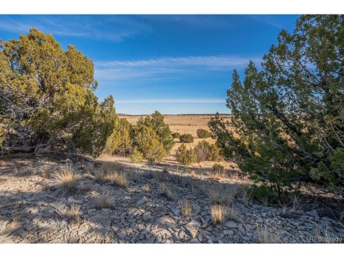 24 Hatchet Ranch Rd, Pueblo, CO, 81004 | Card Image