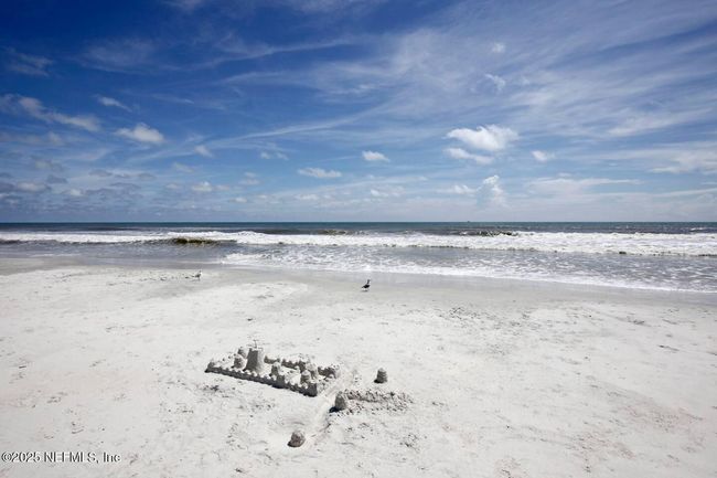 4427 Royal Tern Ct, House other with 5 bedrooms, 5 bathrooms and null parking in Jacksonville Beach FL | Image 71