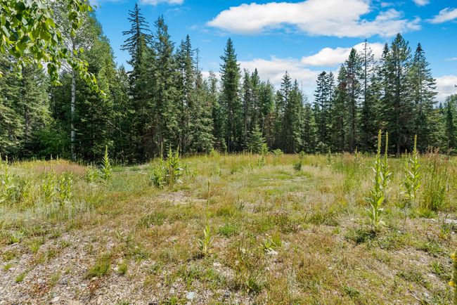 30580 Cayuse Ln, House other with 4 bedrooms, 2 bathrooms and null parking in Bigfork MT | Image 54