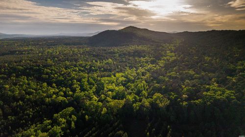 XXX Kinsey Mountain Road, Bonnerdale, AR, 71933 | Card Image