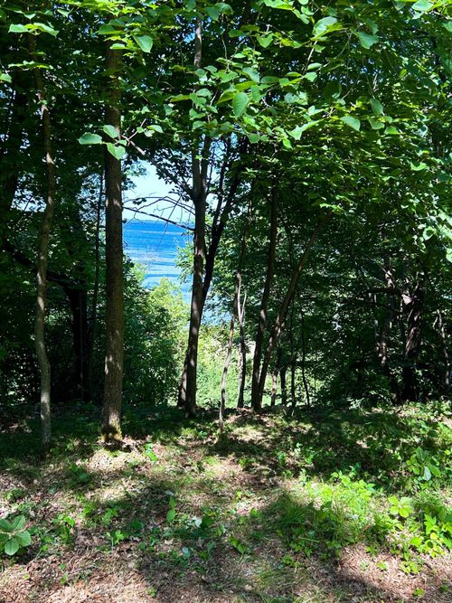 49137 360th St, New York Mills, MN, 56567-9128 | Card Image