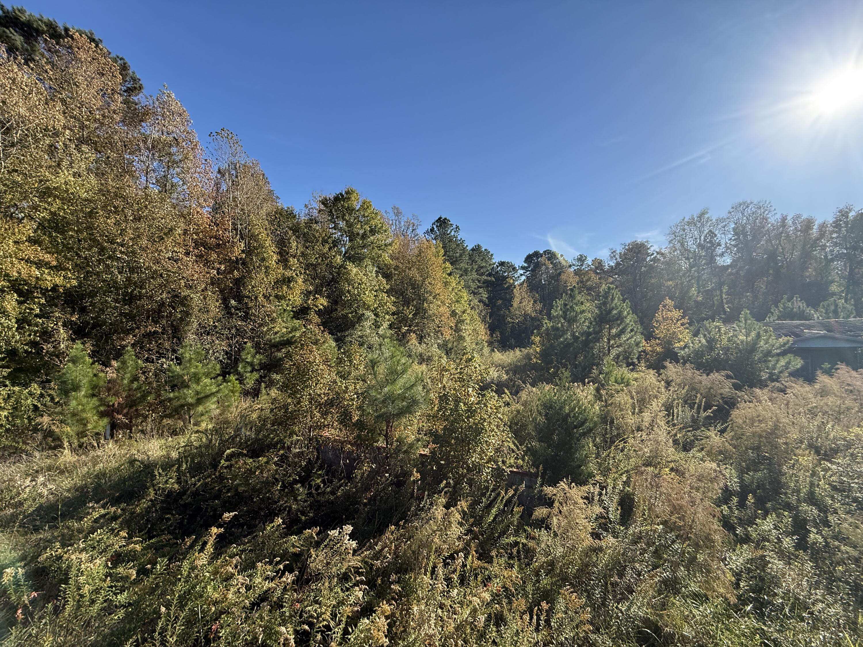 Land in Kingstree 5