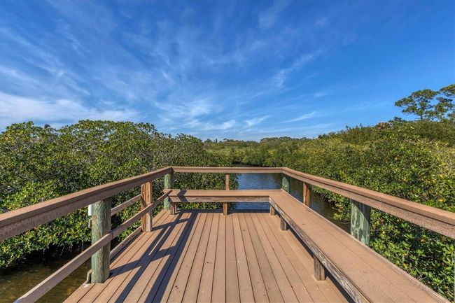 Scenic Views from the Fishing Pier | Image 54