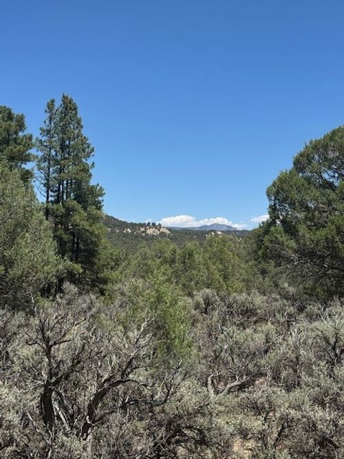 7 Unit 5, Tierra Amarilla, NM, 87575 | Card Image