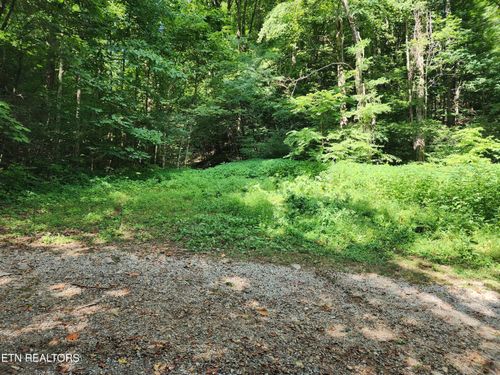 1986 Carrs Creek Rd, Townsend, TN, 37882-2902 | Card Image