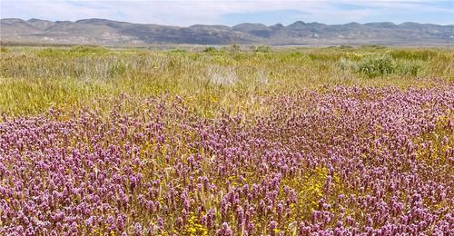 13721 Courtland Rd, Santa Margarita, CA, 93453 | Card Image