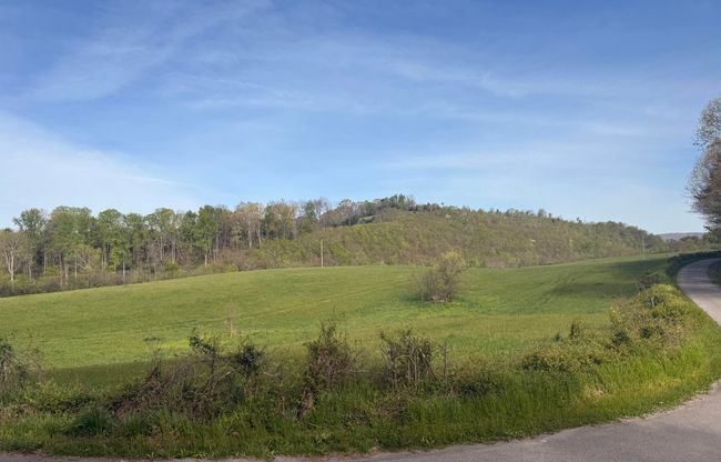 0 Lester Jarnigan Rd, Home with 0 bedrooms, 0 bathrooms and null parking in Rutledge TN | Image 5