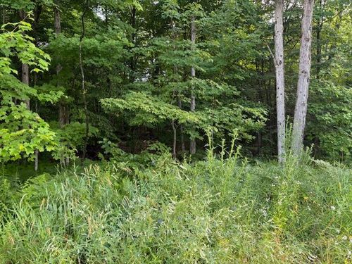 60 Summer Leigh Trail, Utterson, ON, P0B1M0 | Card Image