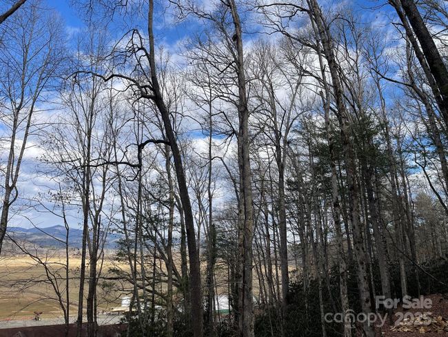 Lot 4-R Middlemount Rd, Home with 0 bedrooms, 0 bathrooms and null parking in Pisgah Forest NC | Image 6