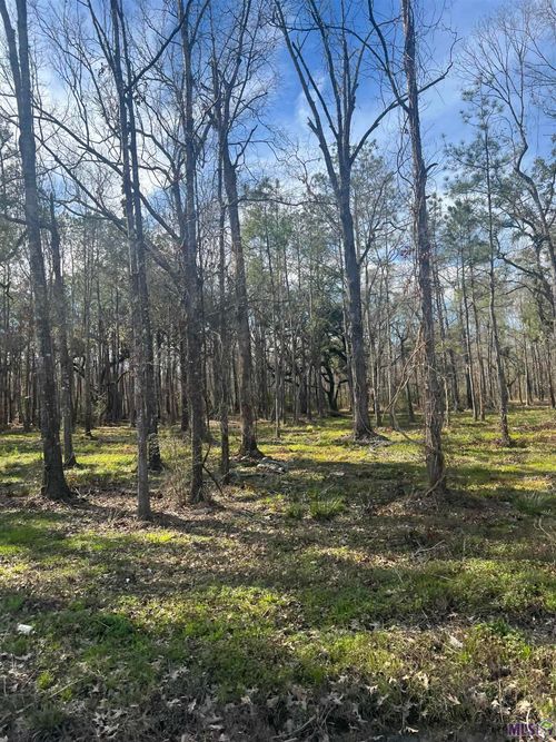 WC-6 Coats Rd, Springfield, LA, 70462 | Card Image