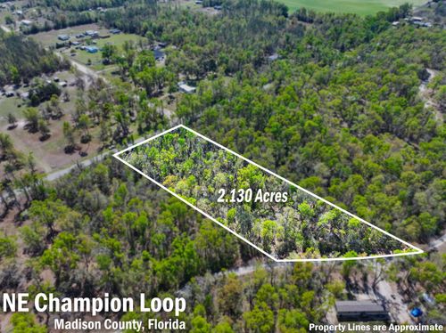 XXX Ne Champion Loop, LEE, FL, 32059 | Card Image