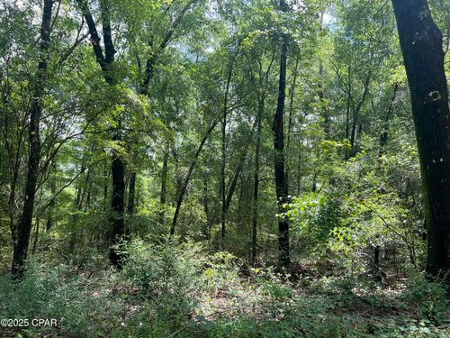 Lot 23 Remington Pl, Bonifay, FL, 32425 | Card Image