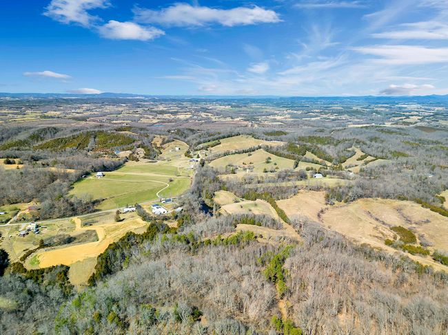 265 - 24265 S Mohawk Rd, Home with 0 bedrooms, 0 bathrooms and null parking in Mohawk TN | Image 24