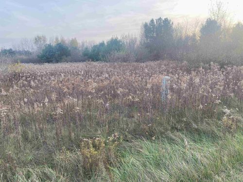 TBD E Wing Rd, Shepherd, MI, 48883 | Card Image