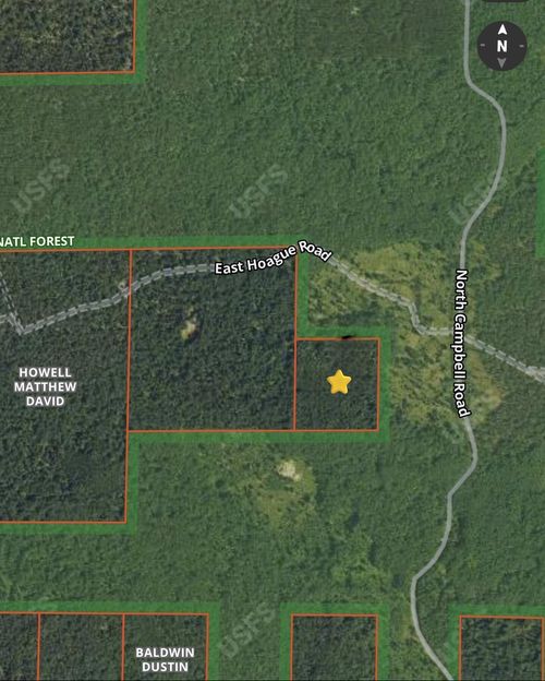 V/L E Hoague Road, Free Soil, MI, 49411 | Card Image