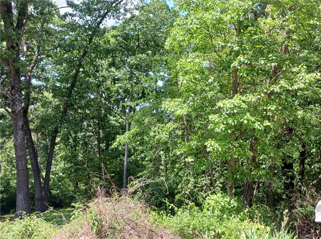 Land in Bella Vista 2