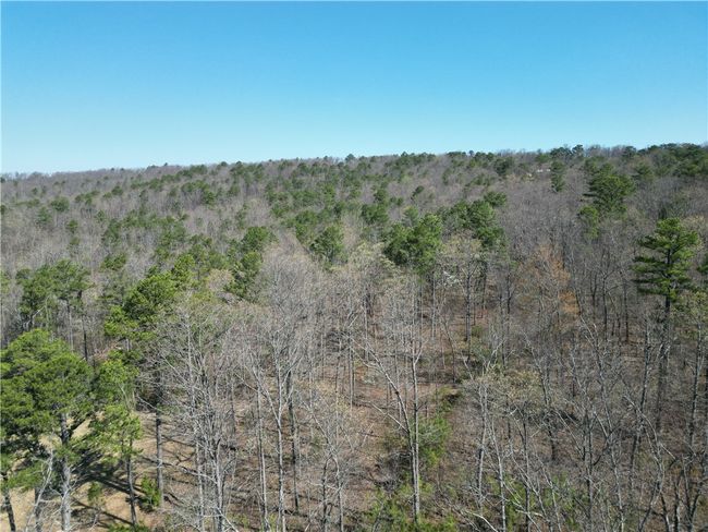 82 Nc 8208, House other with 5 bedrooms, 4 bathrooms and null parking in Jasper AR | Image 58