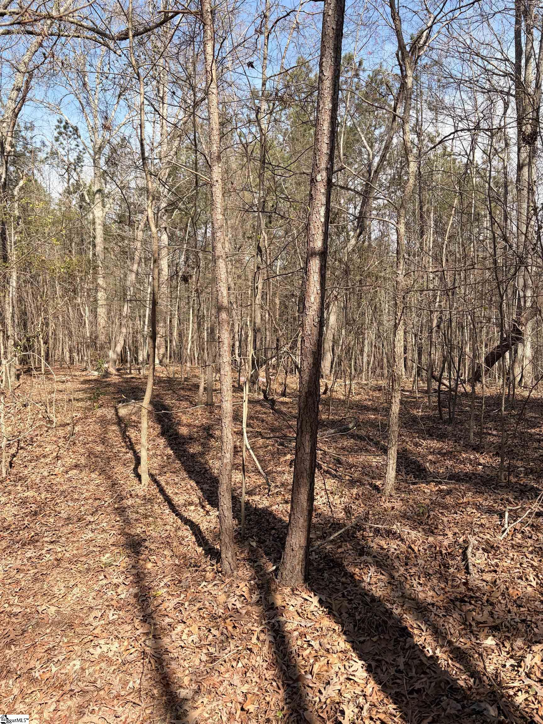 Land in Clinton 5