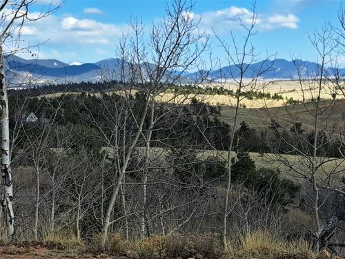 908 Raven Way, Como, CO, 80432 | Card Image