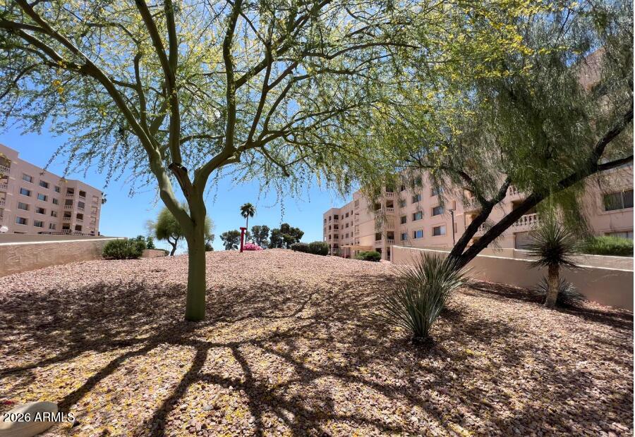 Residential in Scottsdale
