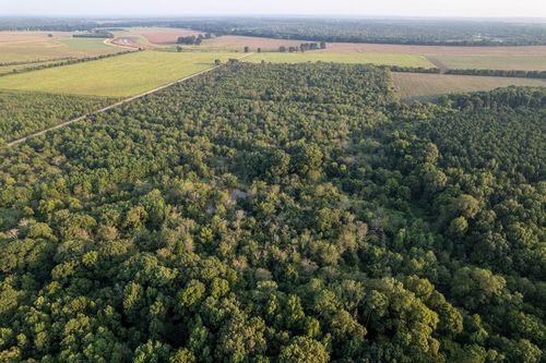 TBD Little River 35, Ashdown, AR, 71822 | Card Image