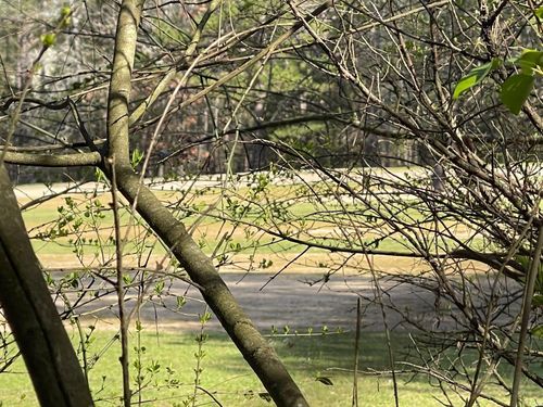 Lot 152 Mountain Ranch Drive, Fairfield Bay, AR, 72088 | Card Image