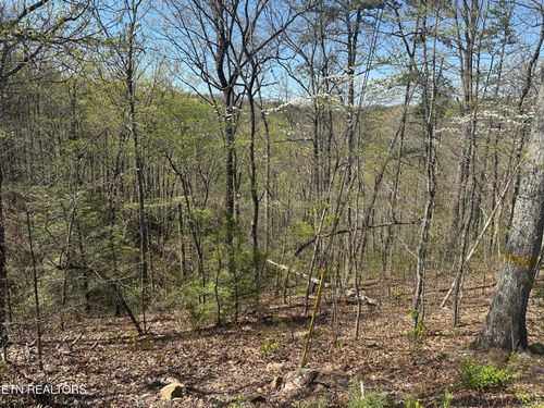 1532 Mountain Dreams Way, Pigeon Forge, TN, 37862 | Card Image