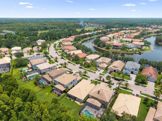 10880 Cory Lake Dr, House other with 3 bedrooms, 2 bathrooms and null parking in TAMPA FL | Image 48