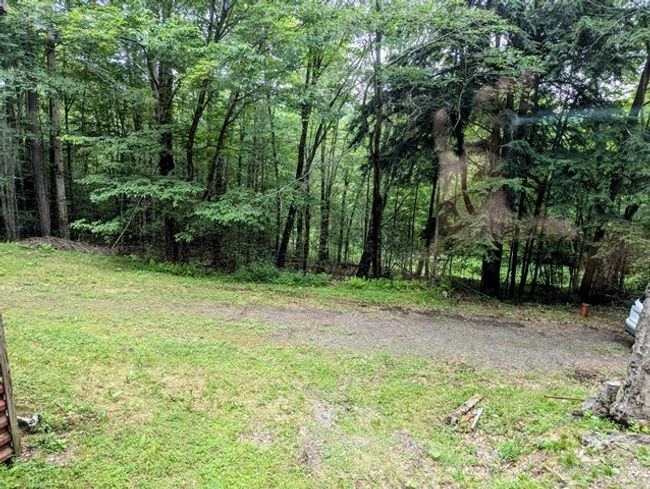 198 Spring Run Rd, Home with 1 bedrooms, 1 bathrooms and null parking in Smethport PA | Image 24