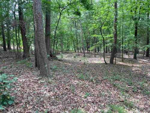 0 Woodland W, Heber Springs, AR, 72543 | Card Image