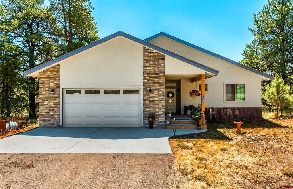 Residential in Pagosa Springs 4