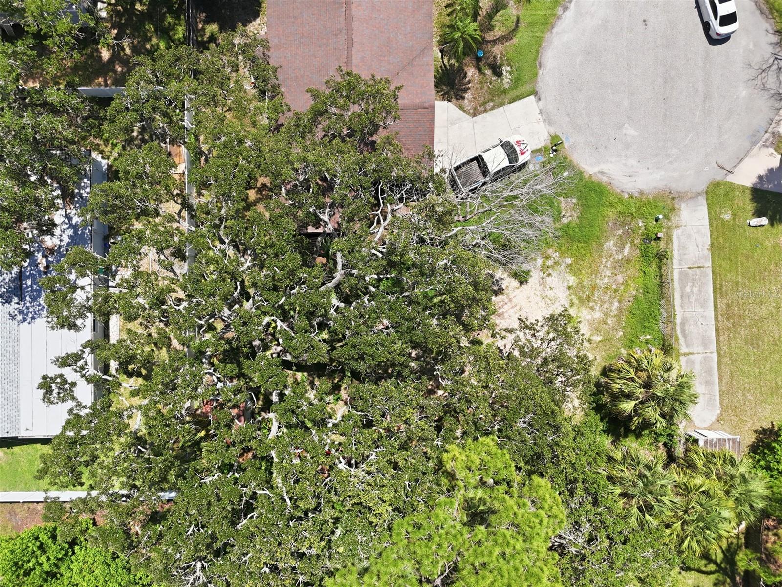 Land in NEW PORT RICHEY 3